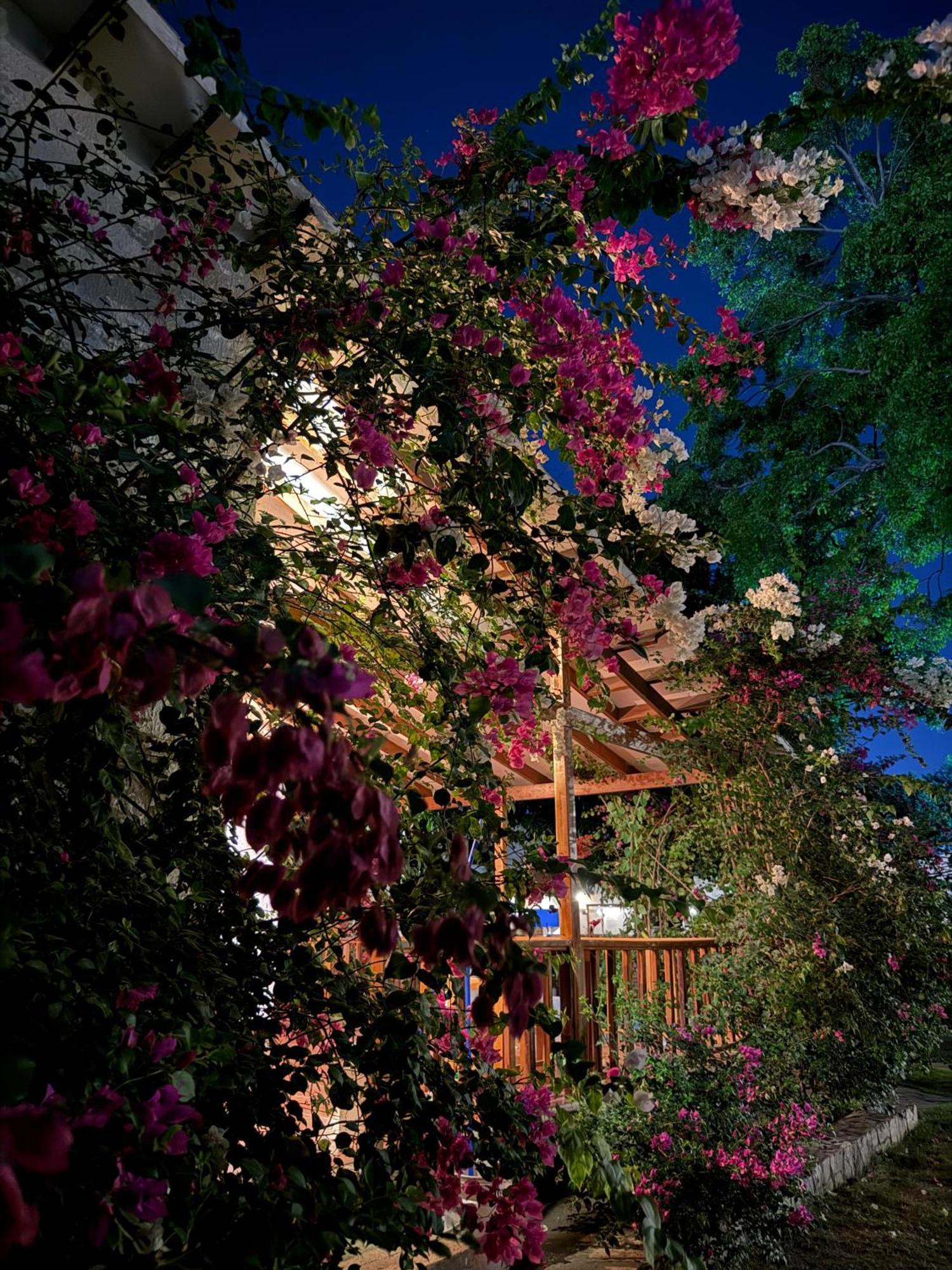 Jardin Boutique Rodadero 3*