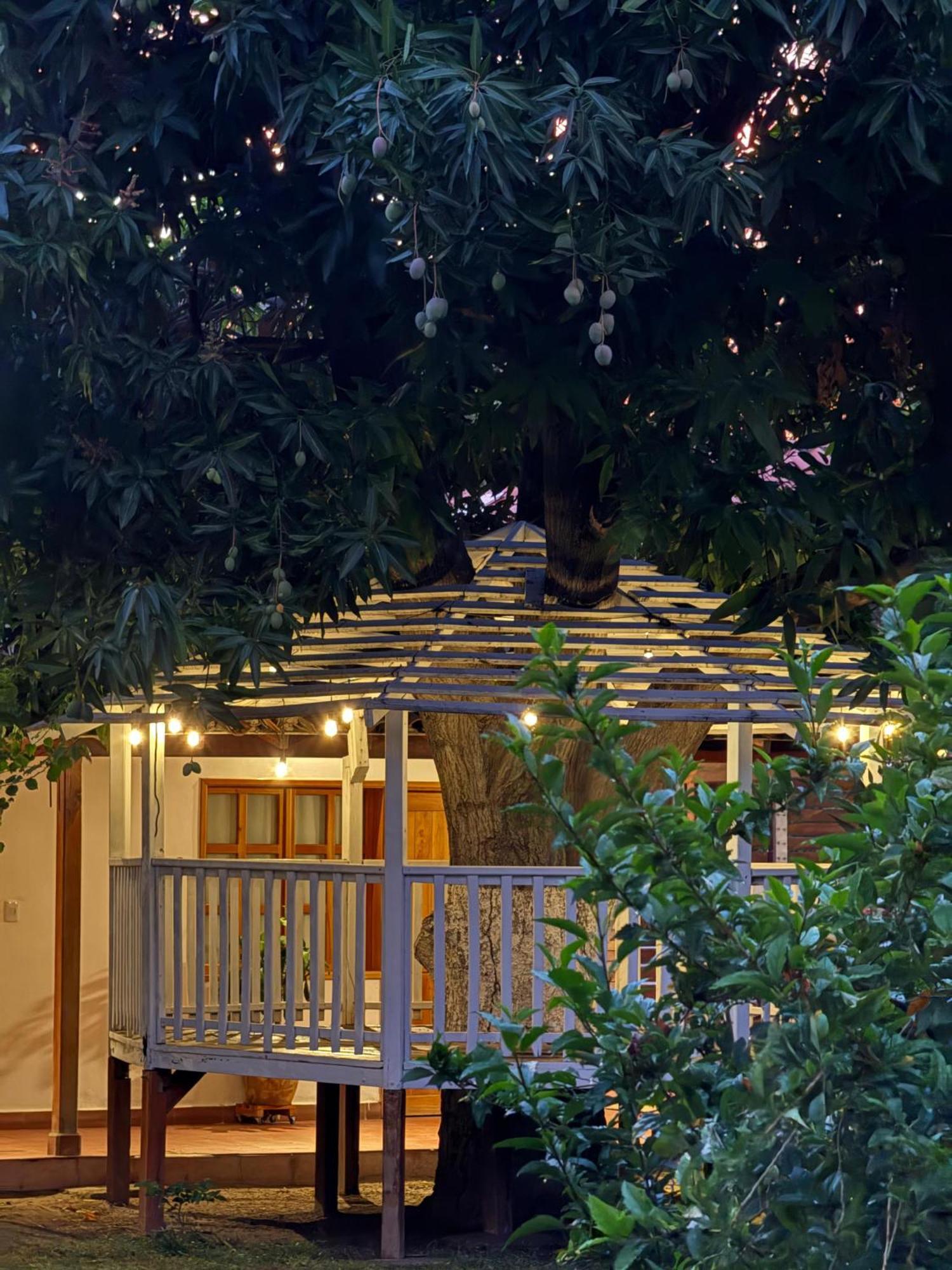 Jardin Boutique Rodadero Hotel 3*