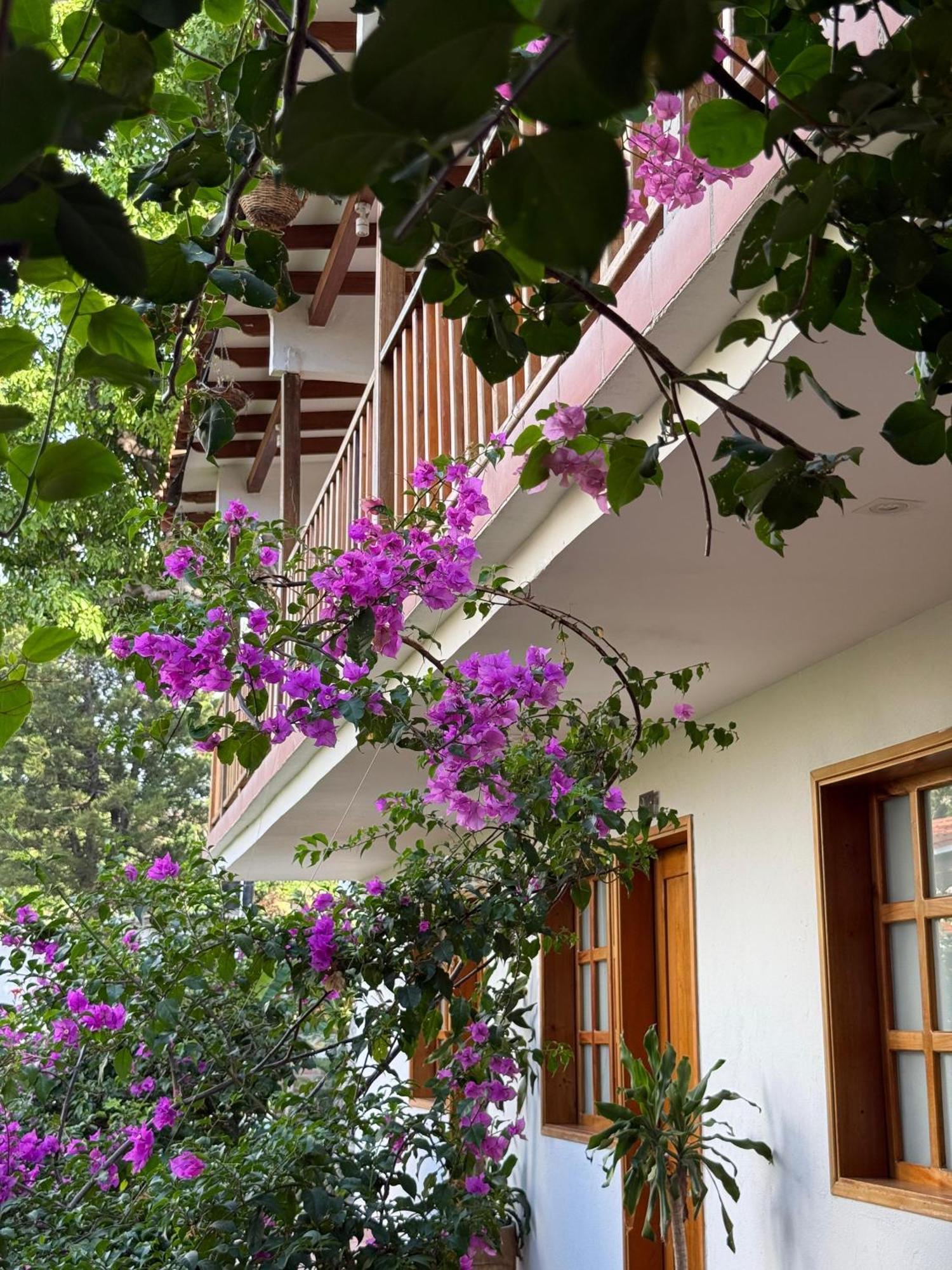 Jardin Boutique Rodadero Hotel Santa Marta (Magdalena)